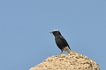2013 02 09_7391_edited-1